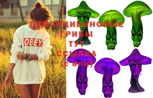 дмт Липки